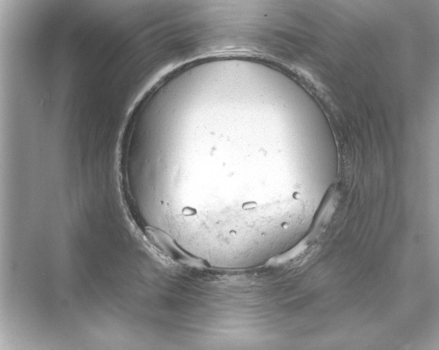 X0000072551422200608111827