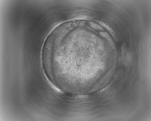 X0000072551423200608111827