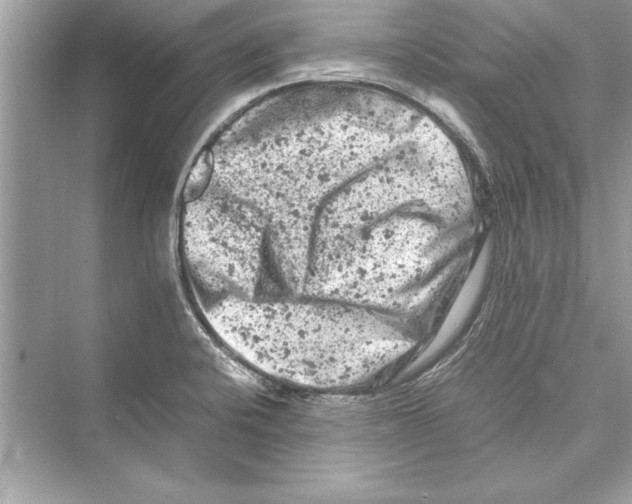 X0000072551424200608111827