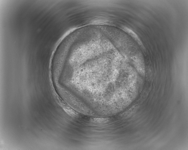 X0000072551427200608111827