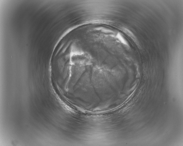 X0000072551428200608111827