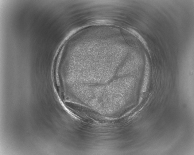 X0000072551429200608111827