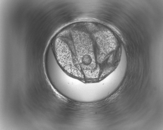 X0000072551430200608111827