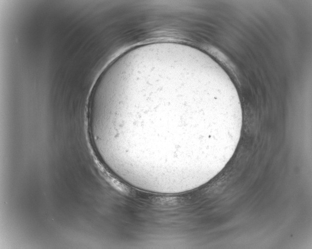 X0000072551431200608111827