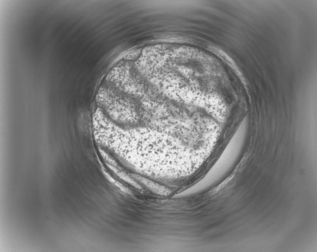 X0000072551433200608111827