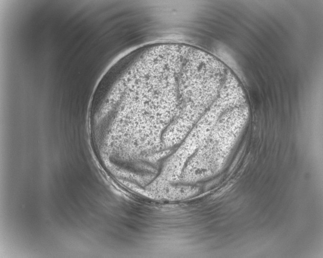 X0000072551436200608111827