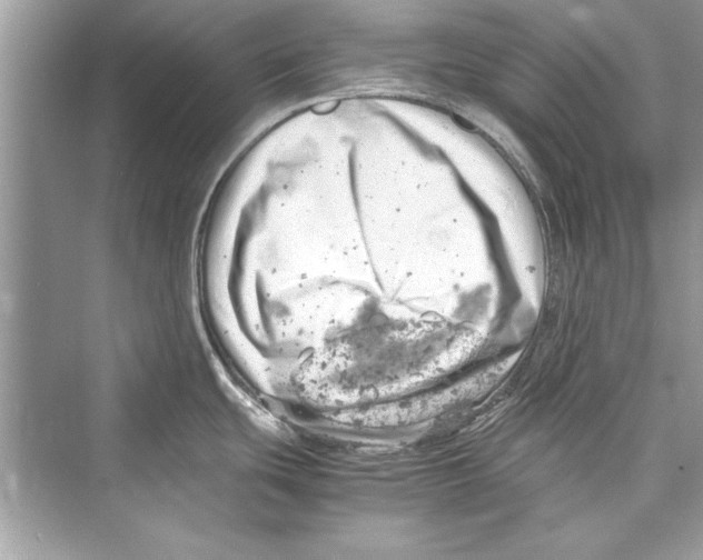 X0000072551439200608111827