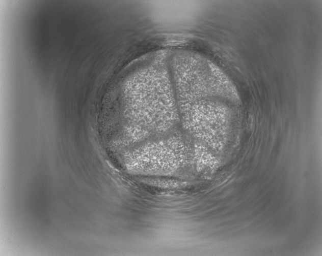 X0000072551441200608111826