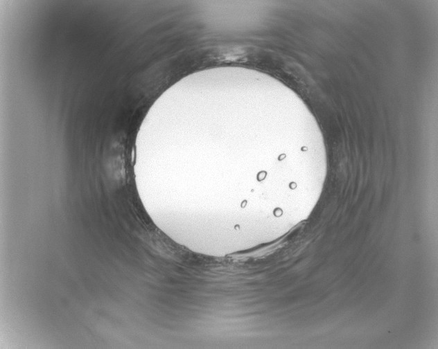 X0000072551442200608111826