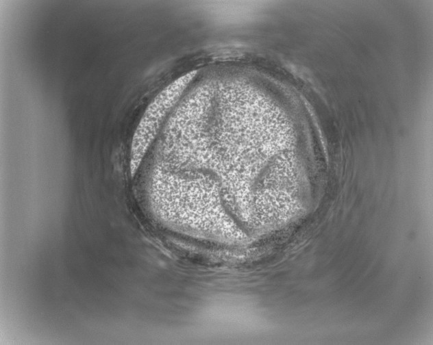 X0000072551445200608111826