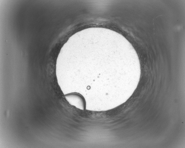 X0000072551447200608111826