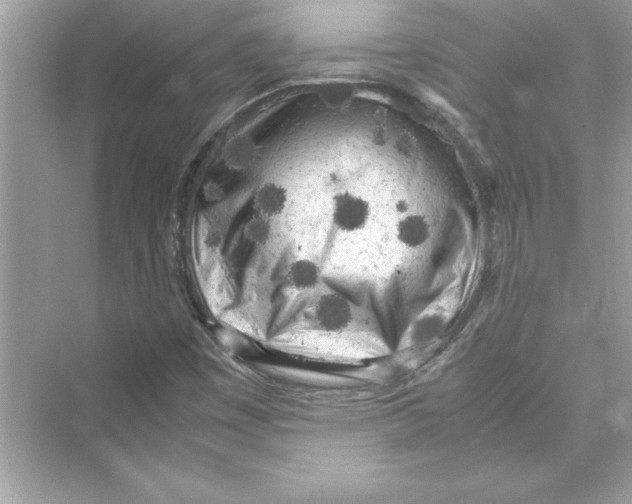 X0000072551449200608111826