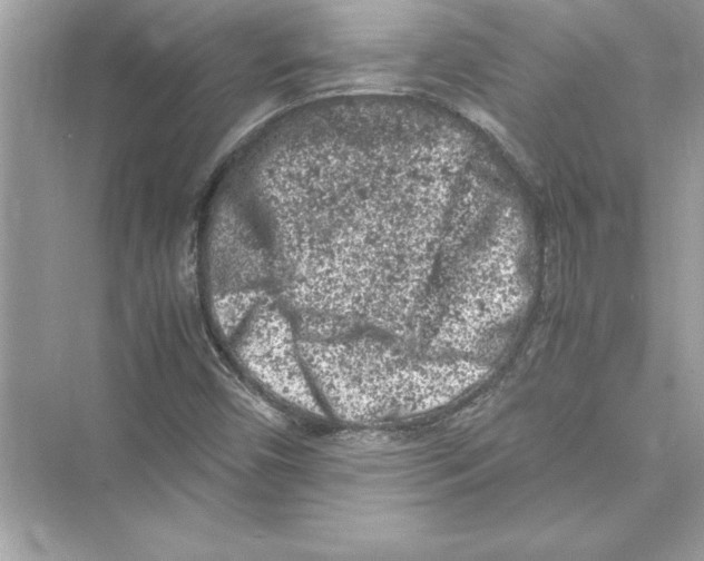 X0000072551450200608111826