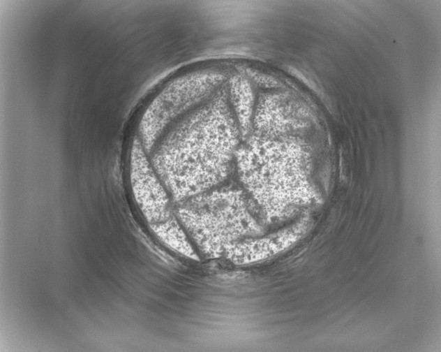 X0000072551452200608111826