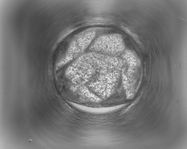 X0000072551453200608111826