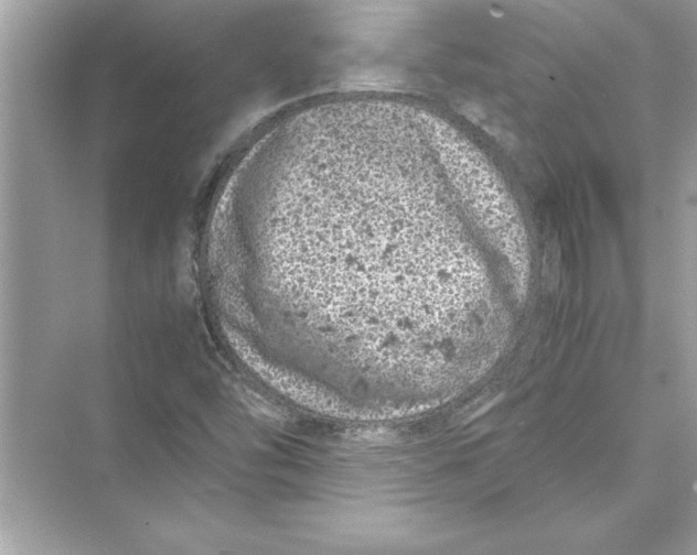 X0000072551454200608111826