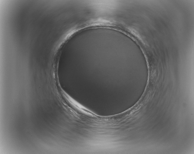 X0000072551455200608111826