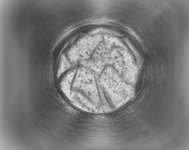 X0000072551456200608111826