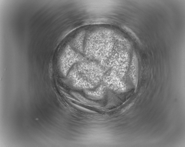 X0000072551457200608111826