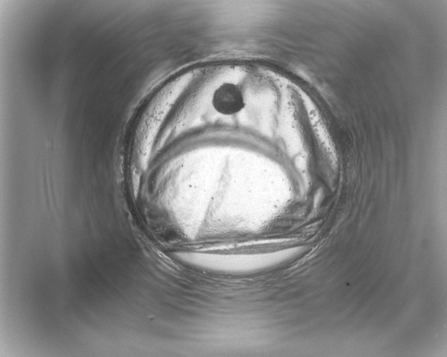 X0000072551459200608111826