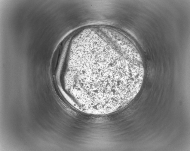 X0000072551460200608111826