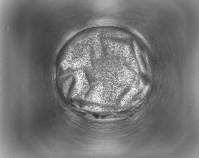 X0000072551461200608111826