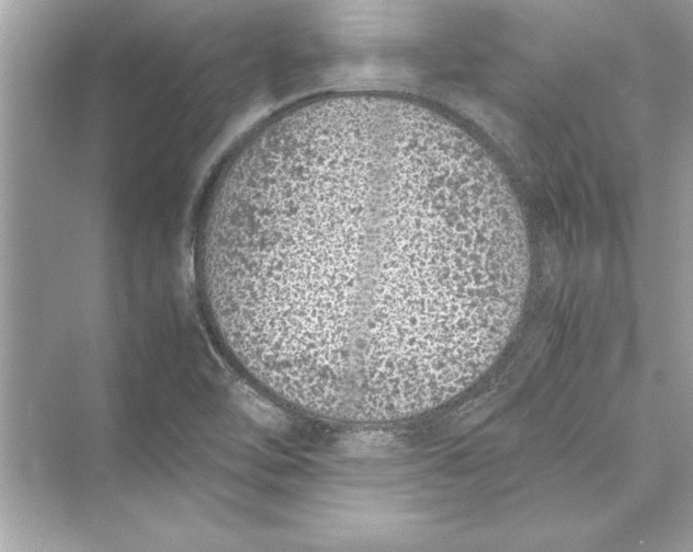 X0000072551462200608111826