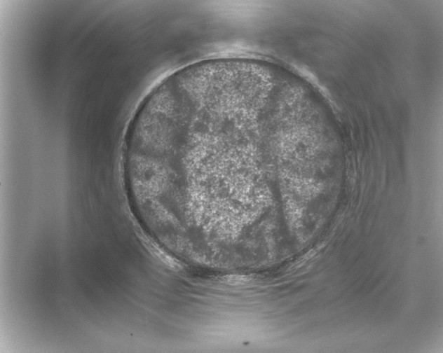 X0000072551463200608111826