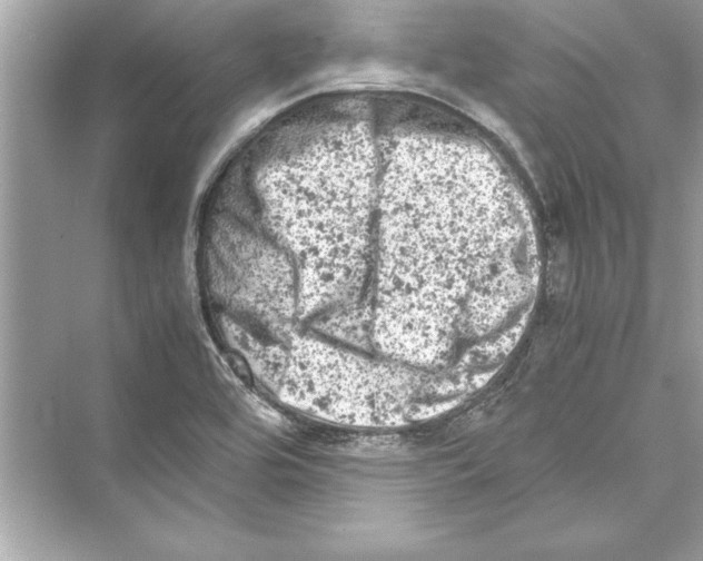 X0000072551464200608111826