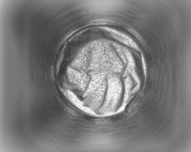 X0000072551465200608111826