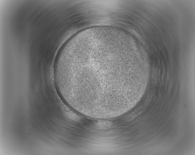 X0000072551466200608111826