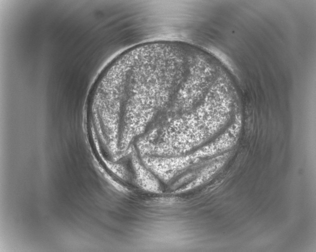 X0000072551468200608111826