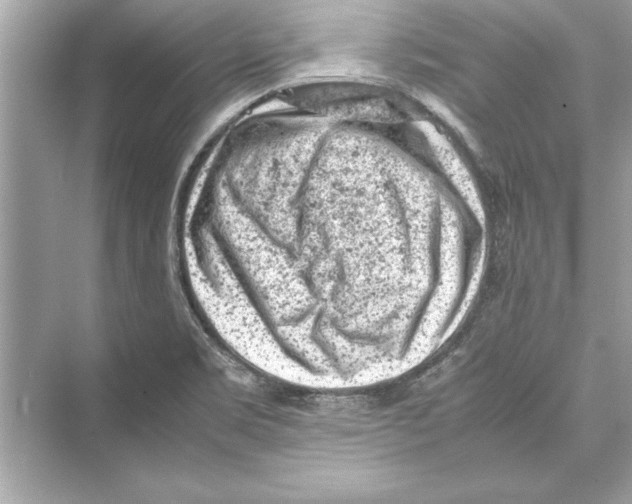 X0000072551469200608111826