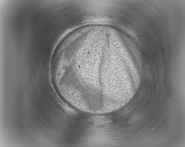 X0000072551470200608111826