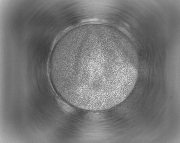 X0000072551474200608111826