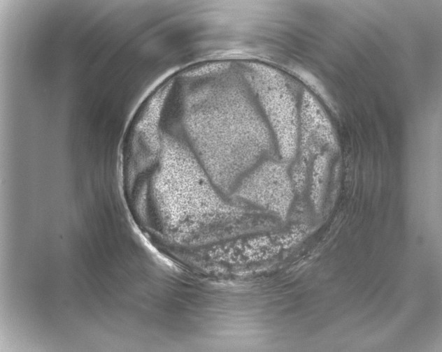 X0000072551476200608111826