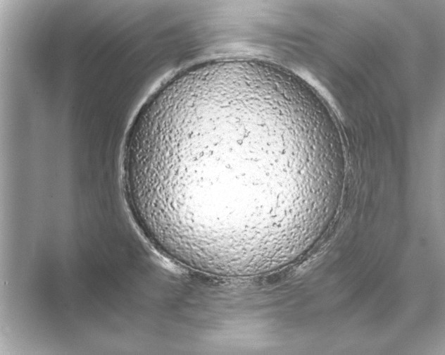 X0000072551477200608111826