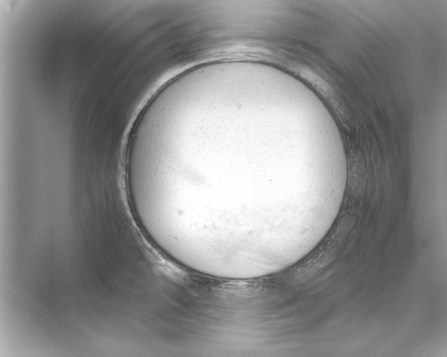 X0000072551478200608111826