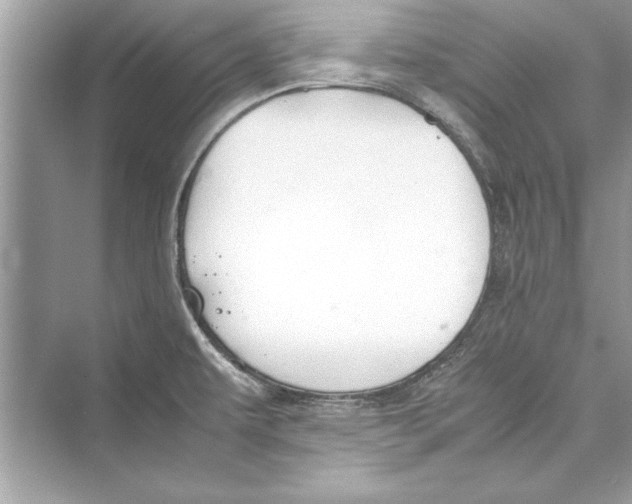 X0000072551479200608111826