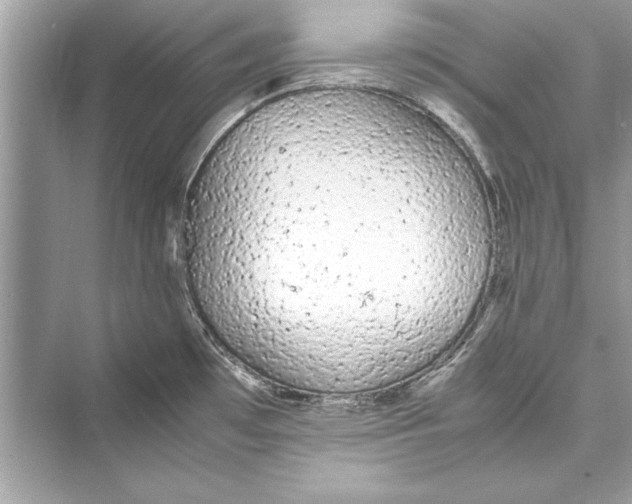 X0000072551481200608111826