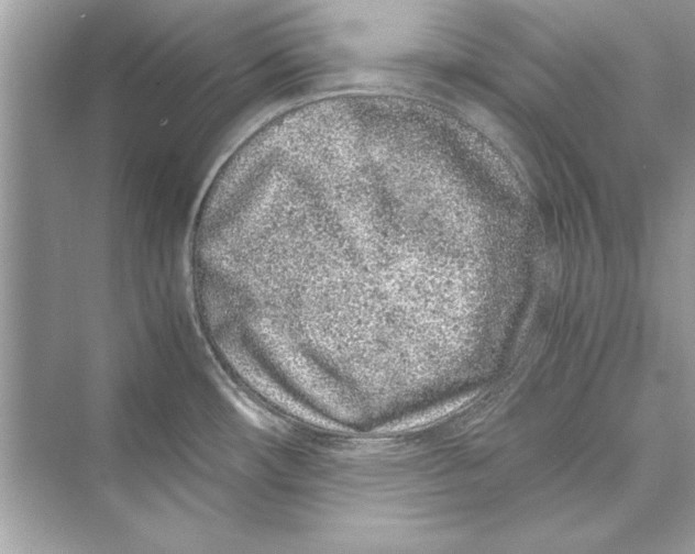 X0000072551482200608111826