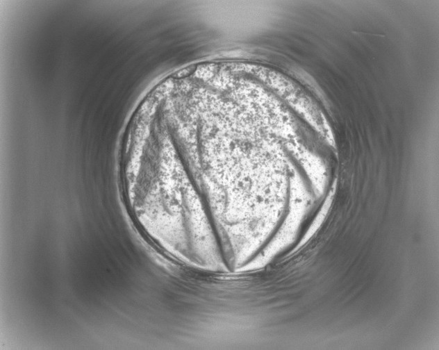 X0000072551483200608111826