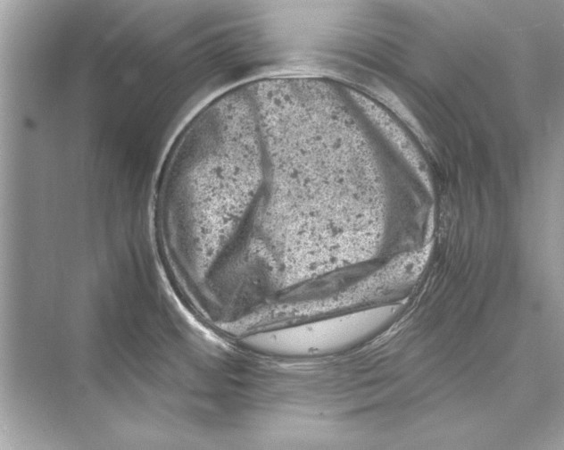 X0000072551484200608111826