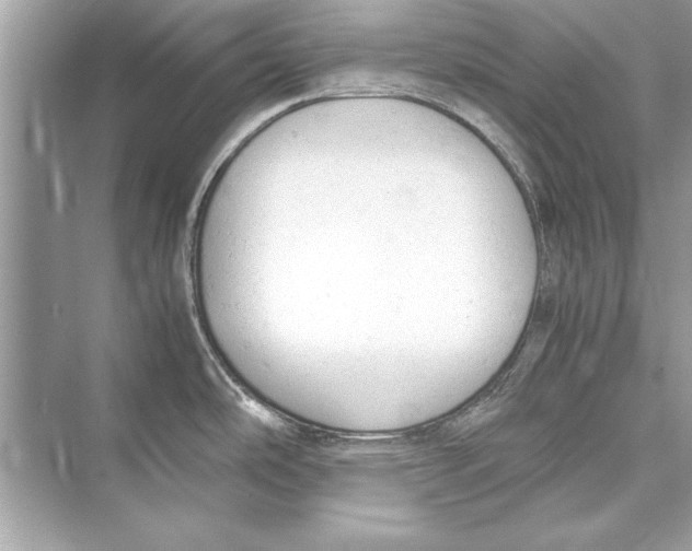 X0000072551486200608111826