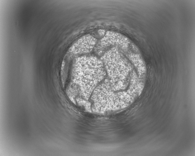 X0000072551489200608111825