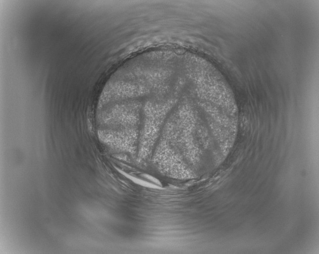 X0000072551490200608111825