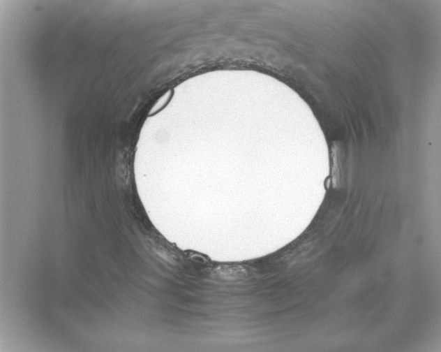 X0000072551491200608111825