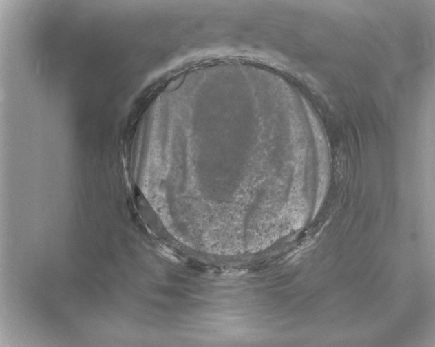 X0000072551494200608111825