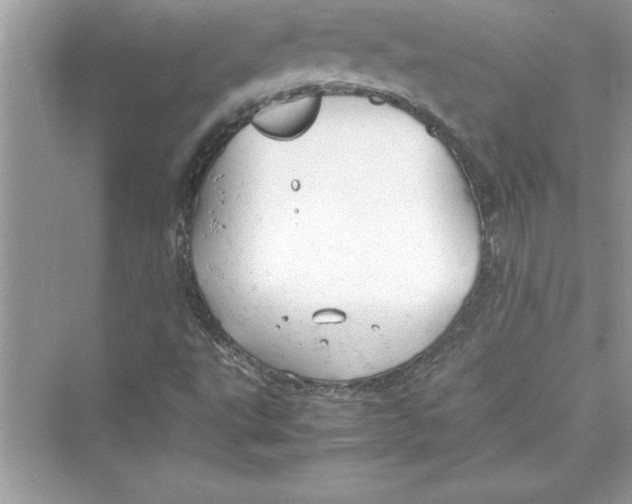 X0000072551495200608111825