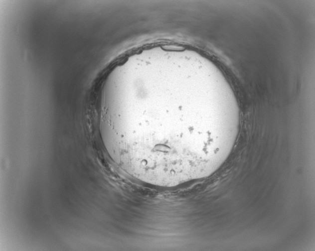 X0000072551496200608111825